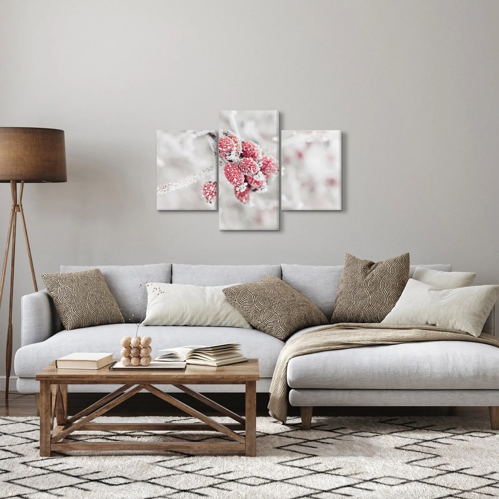 Tablou - Fructe congelate (90x60 cm)