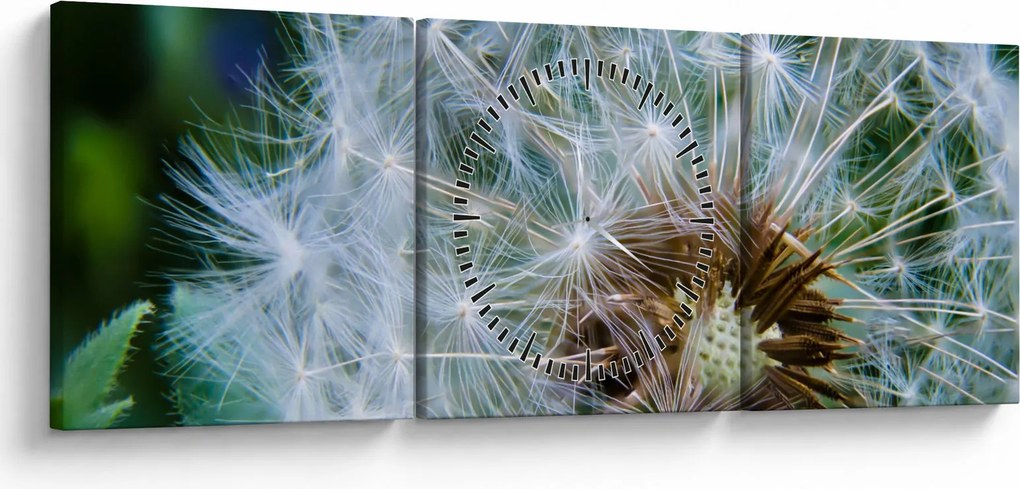Tabloul cu păpădie desflorit (cu ceas) (90x30 cm)