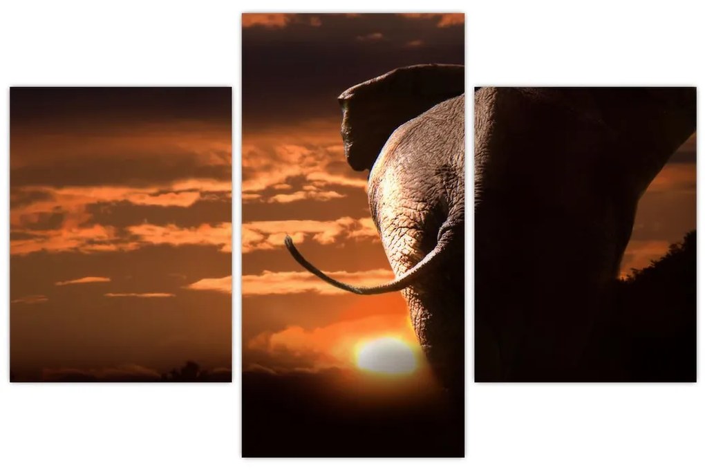Tablou cu elefant (90x60 cm)