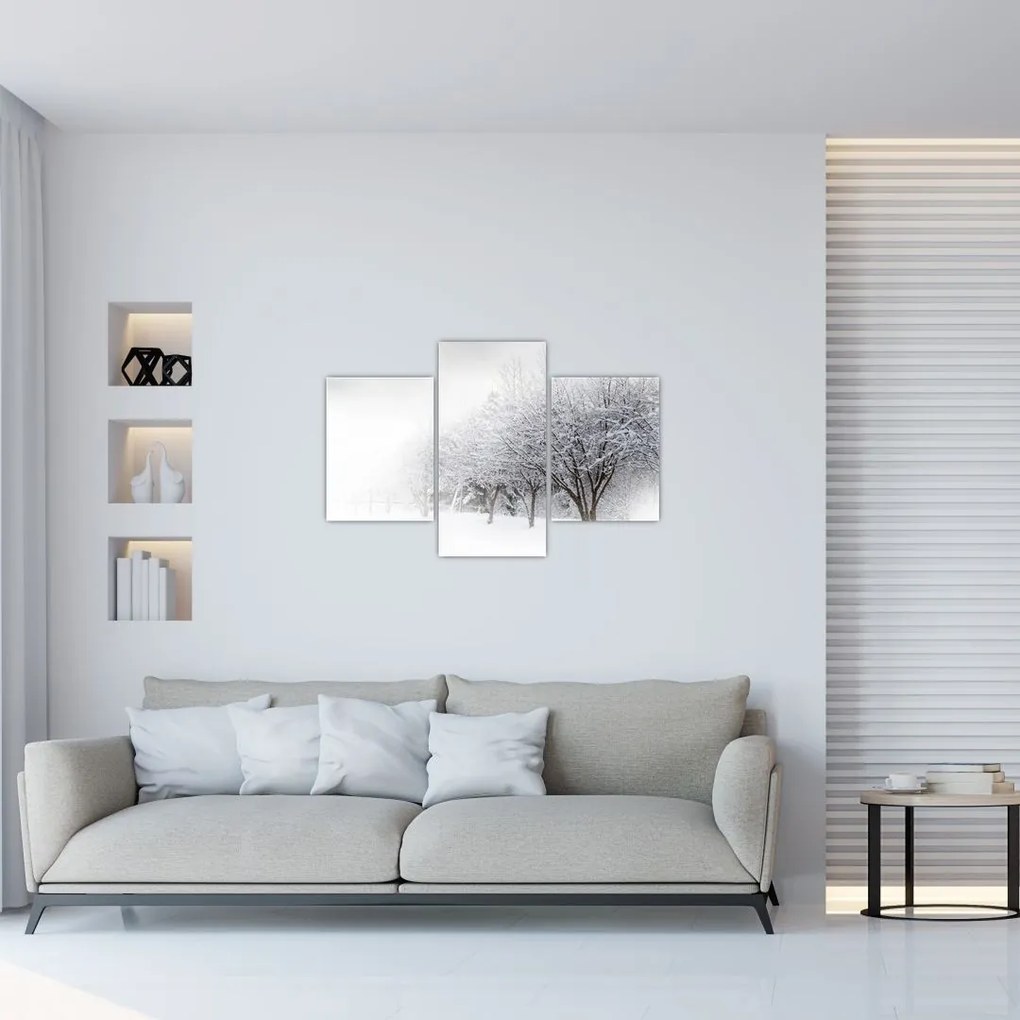 Tablou - Aleea de iarnă (90x60 cm)