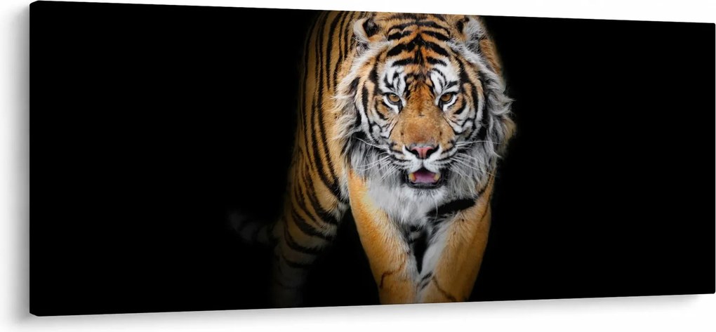 Tablou - Tiger (120x50 cm)