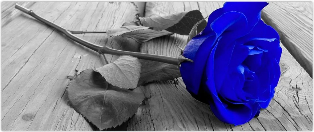 Tablou - Trandafir albastru (120x50 cm)