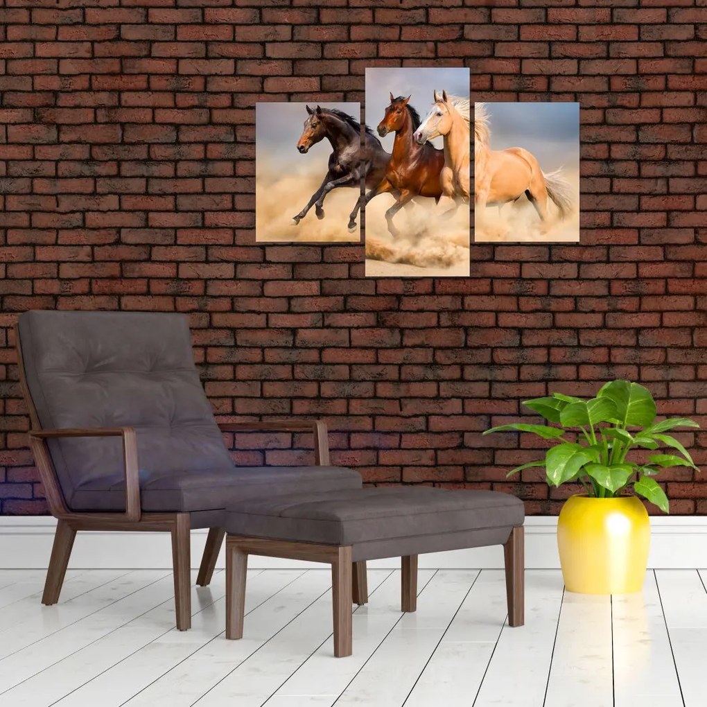 Tablou - Cai sălbatici (90x60 cm)