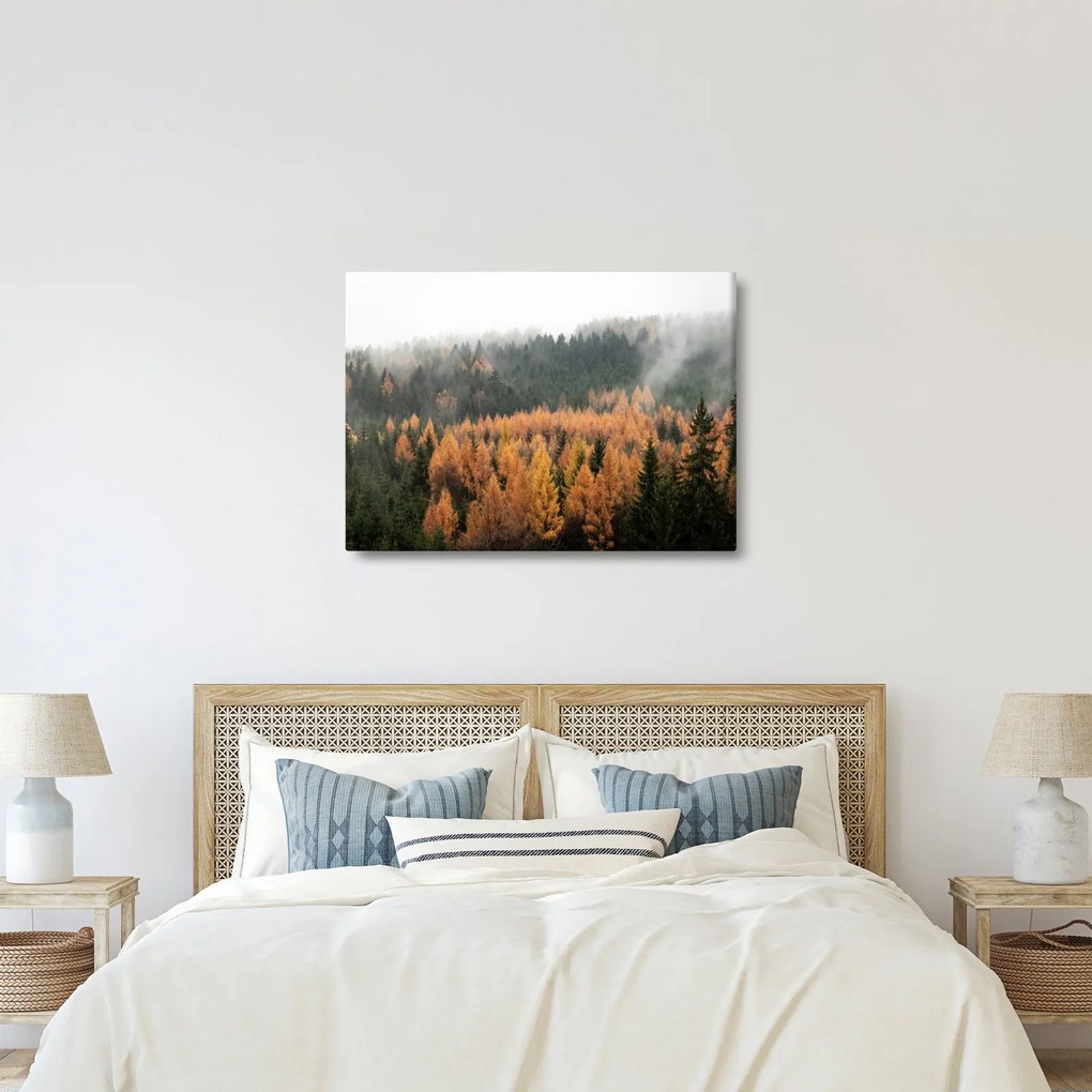 Tablou - Pădure toamna (70x50 cm)