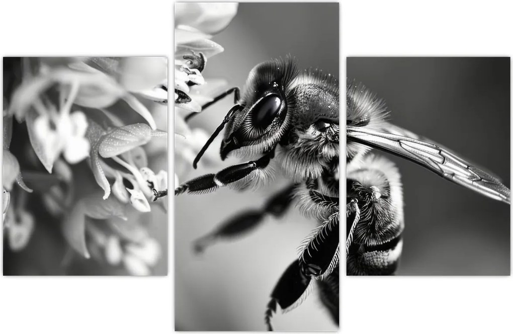 Tablou - Detaliu de albină (90x60 cm)