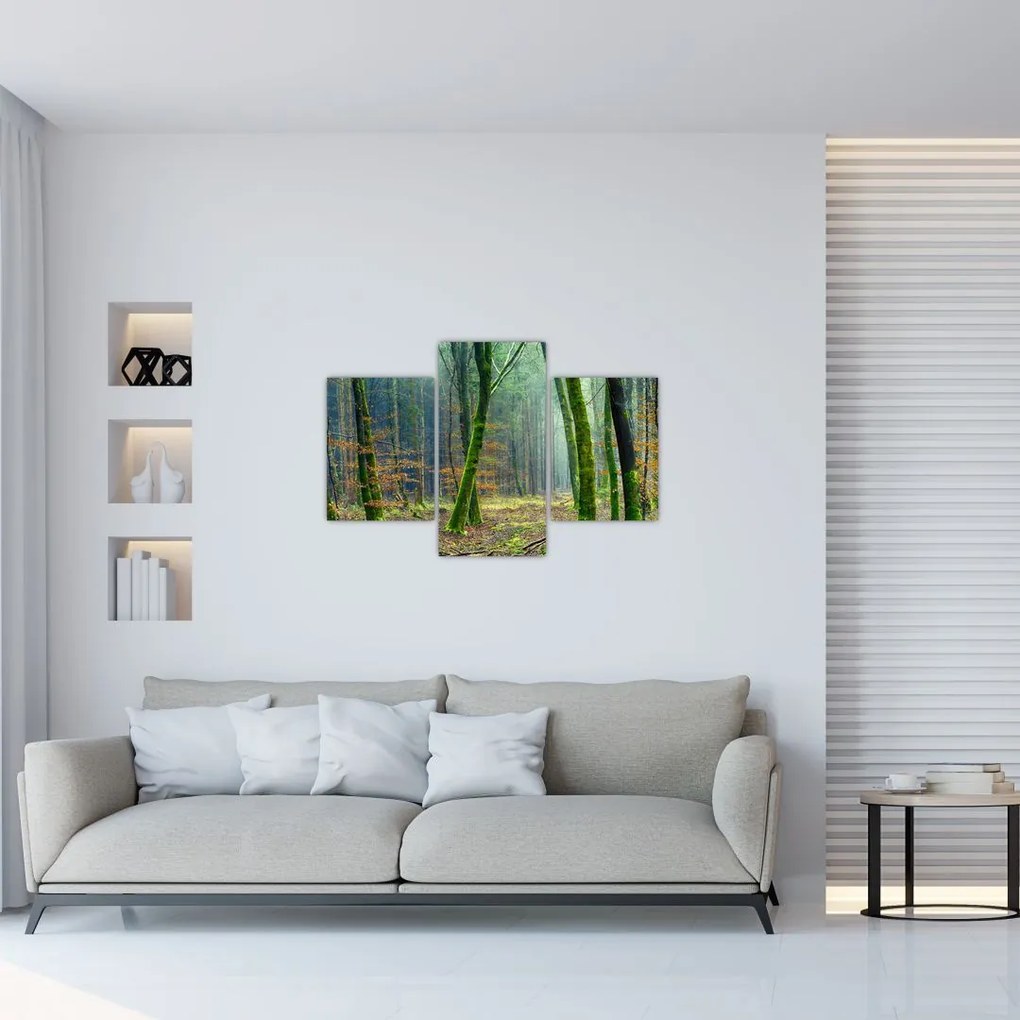 Tablou cu pădure (90x60 cm)