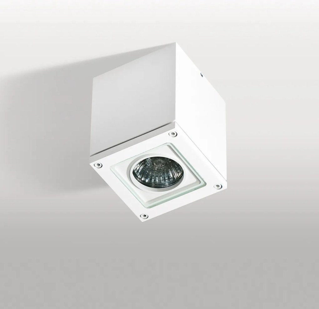 Spot aplicat / Plafoniera pentru iluminat exterior IP54 TONIO