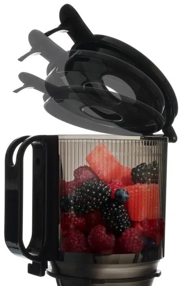 Storcător melcat pentru fructe și legume TESLA Electronics SlowJuicer Deluxe 250W/230V oțel inoxidabil