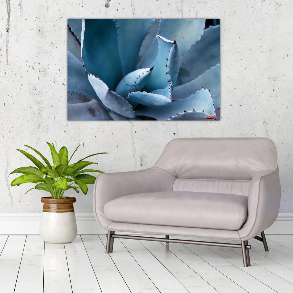 Tablou - Agave (90x60 cm)