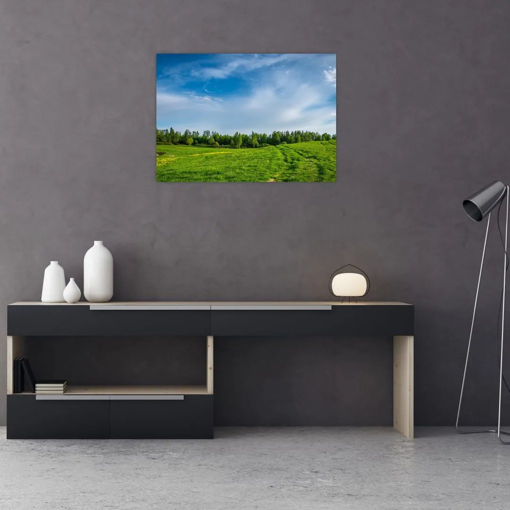 Tablou cu luncă (70x50 cm)