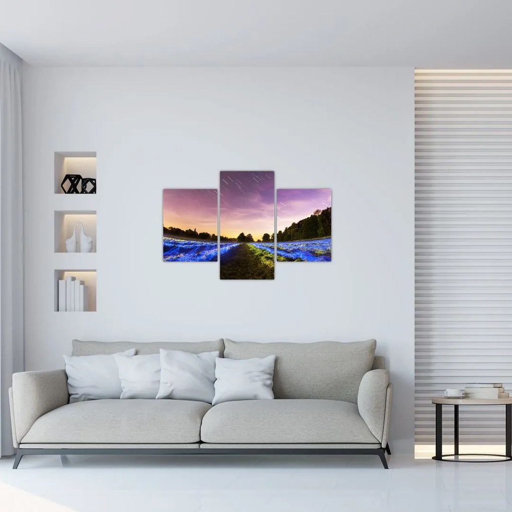 Tablou cu câmp colorat (90x60 cm)