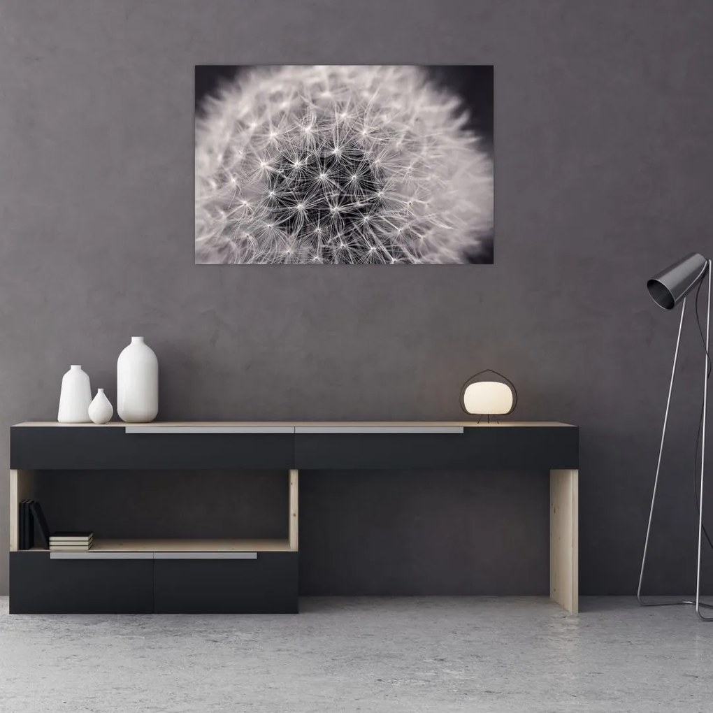 Tablou cu păpădie (90x60 cm)