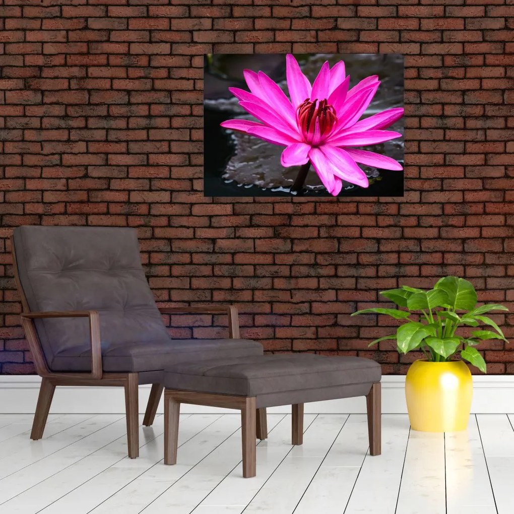 Tablou pe sticlă - floarea roz (70x50 cm)
