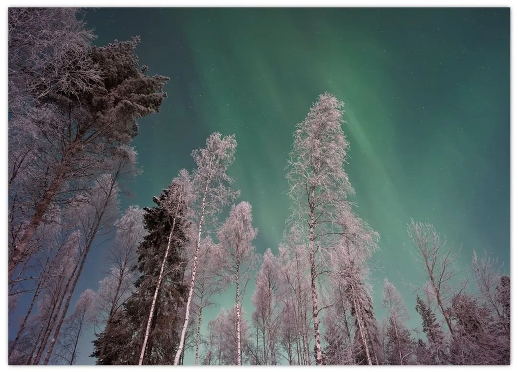 Tablou cu aurora borealis deasupra pomilor înghețați (70x50 cm)
