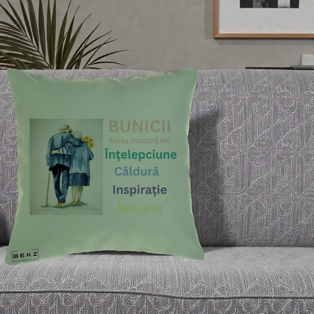 Cadou pentru Bunici - Perna Personalizata Bunicii Sursa Intelepciune Caldura Acuarela, 40x40 cm, Verde, Husa Detasabila, Perna Inclusa, BEKZ®