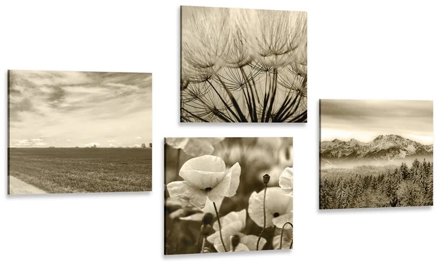 Set tablouri peisaj sepia cu flori