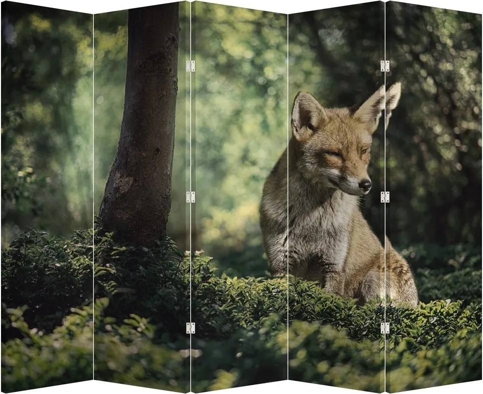 Paravan - Vulpe (210x170 cm)