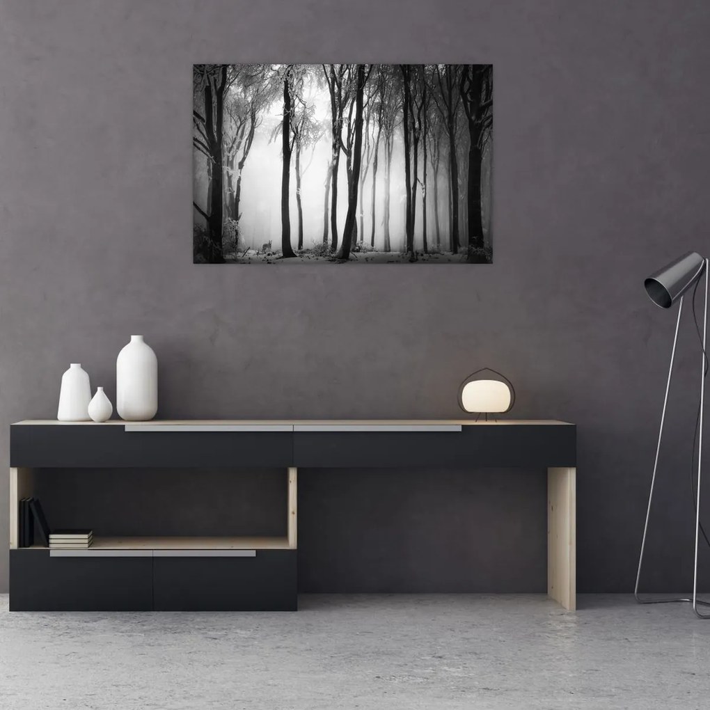 Tablou - Lup în pădurea întunecată (90x60 cm)