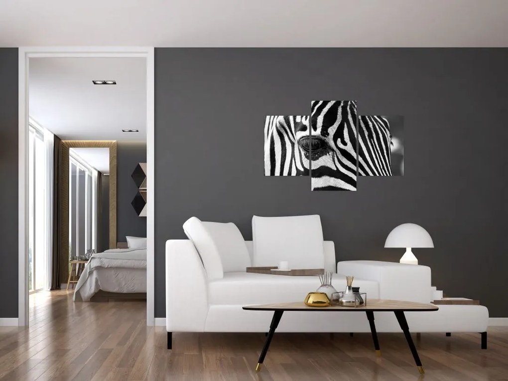 Tablou cu zebră (90x60 cm)