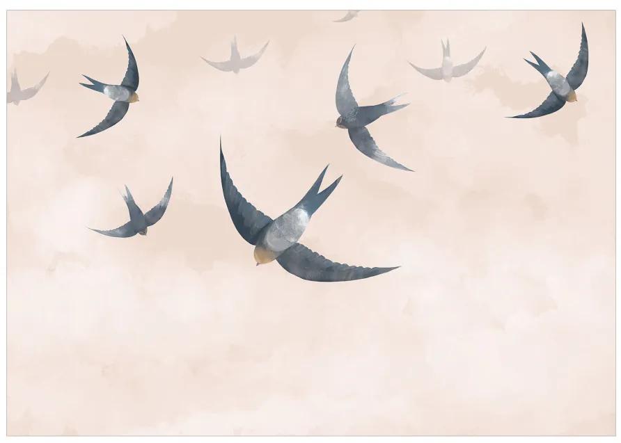 Fototapet - Adunare de rândunele - păsări în zbor pe cer roz și noros