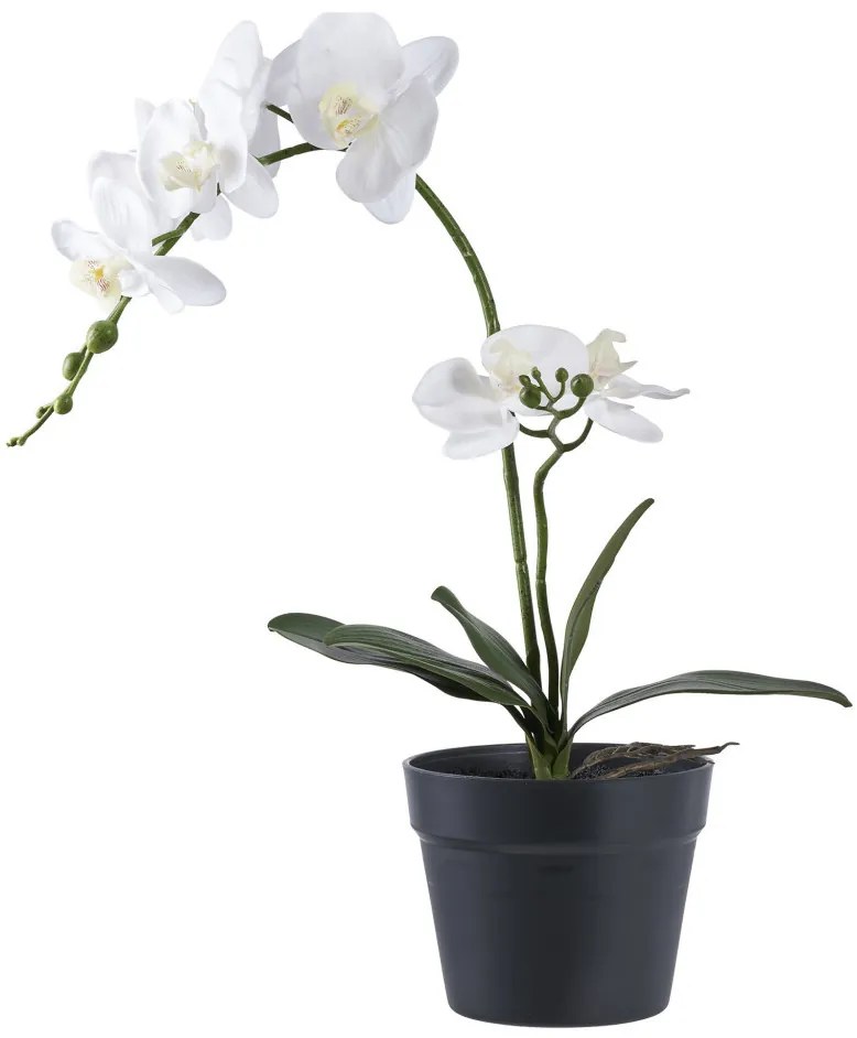 Orchidea műnövény, zöld/fehér 49 cm