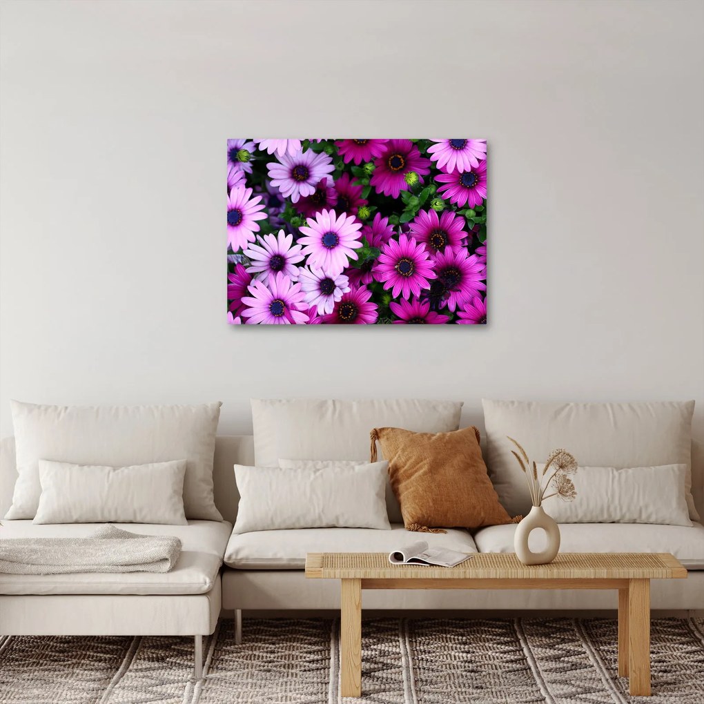 Tablou - Flori (70x50 cm)