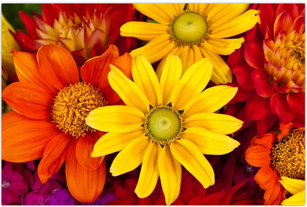 Tablou cu floare (90x60 cm)