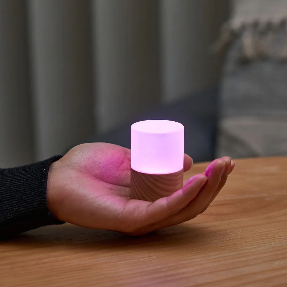 Decorațiune luminoasă în culoare naturală cu USB ø 4,5 cm Lemelia – Gingko