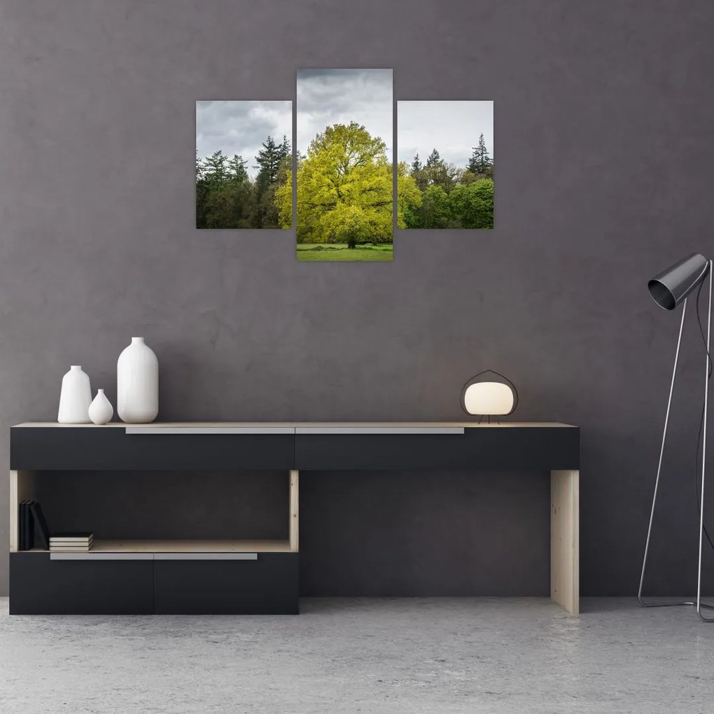 Tablou - Copac verde în câmp (90x60 cm)