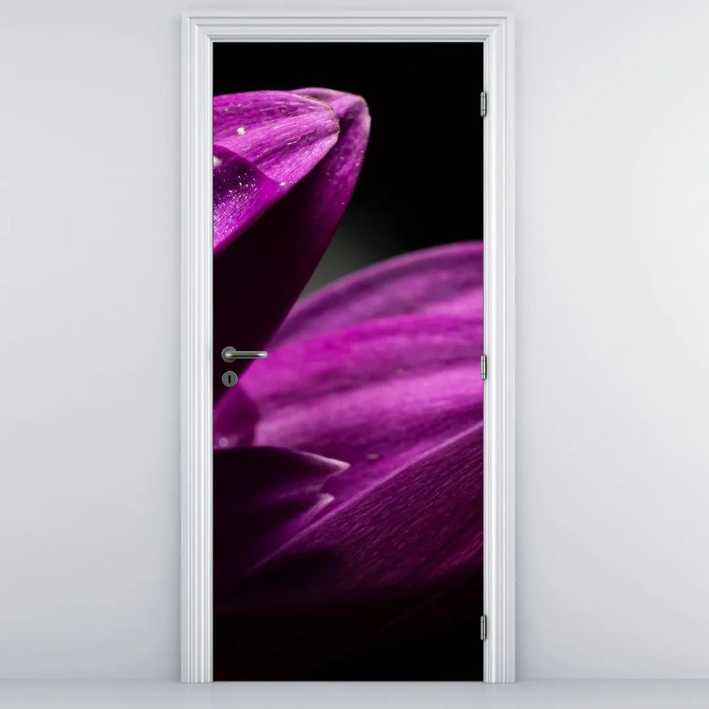 Fototapet pentru ușă - Picătură de apă (95x205cm)