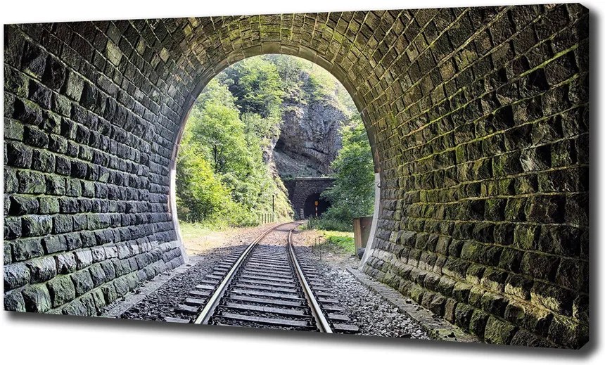 Print pe canvas Tunel feroviar