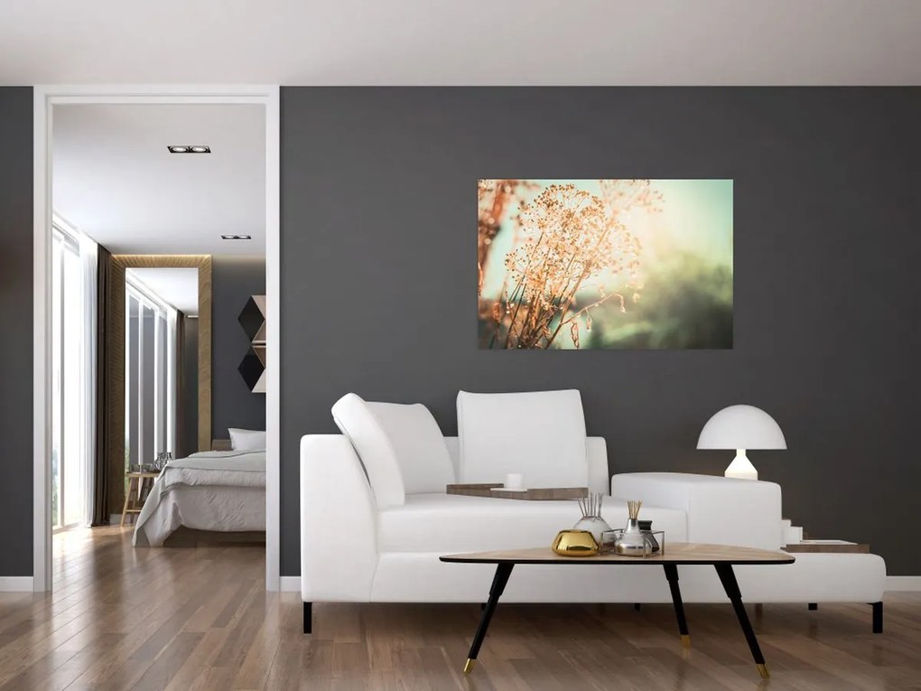 Tablou - Plante după ploaie (90x60 cm)
