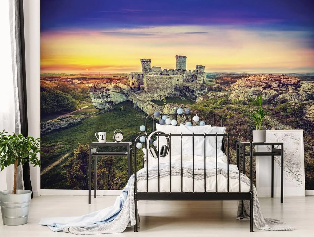 Fototapet - Dărămătură de castel (152,5x104 cm)