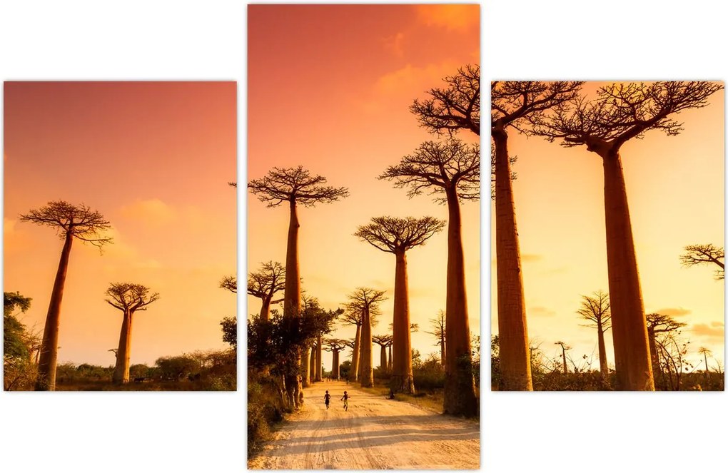 Tablou - Apus de soare pe Aleea Baobabilor (90x60 cm)
