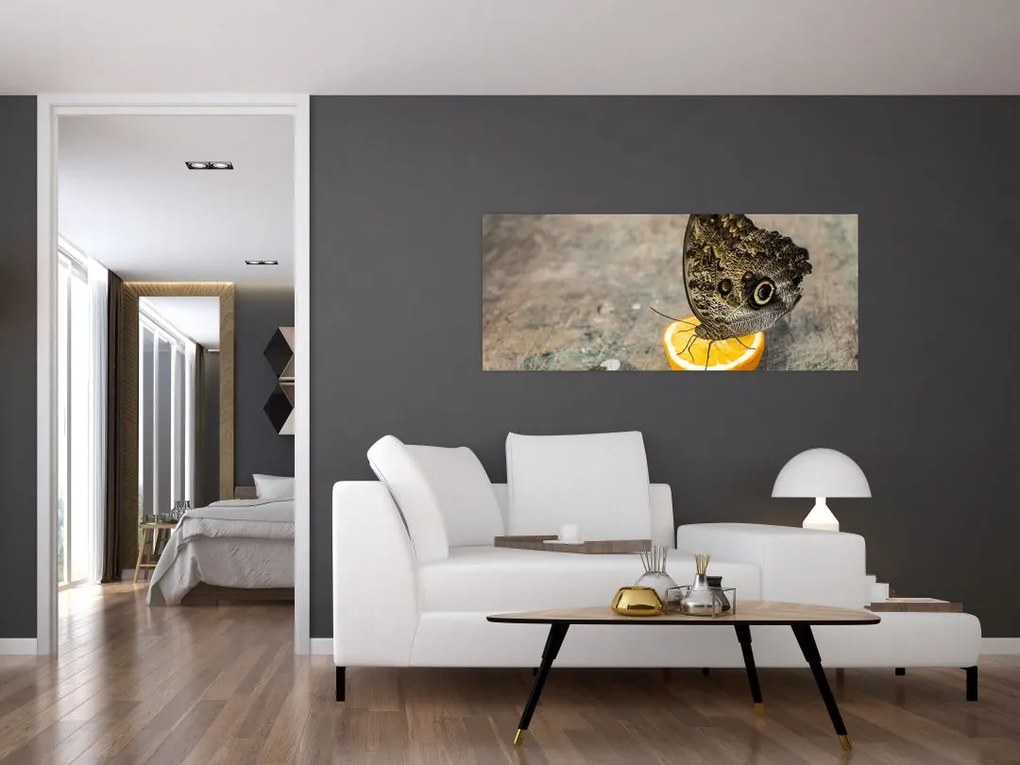 Tablou cu fluturi (120x50 cm)