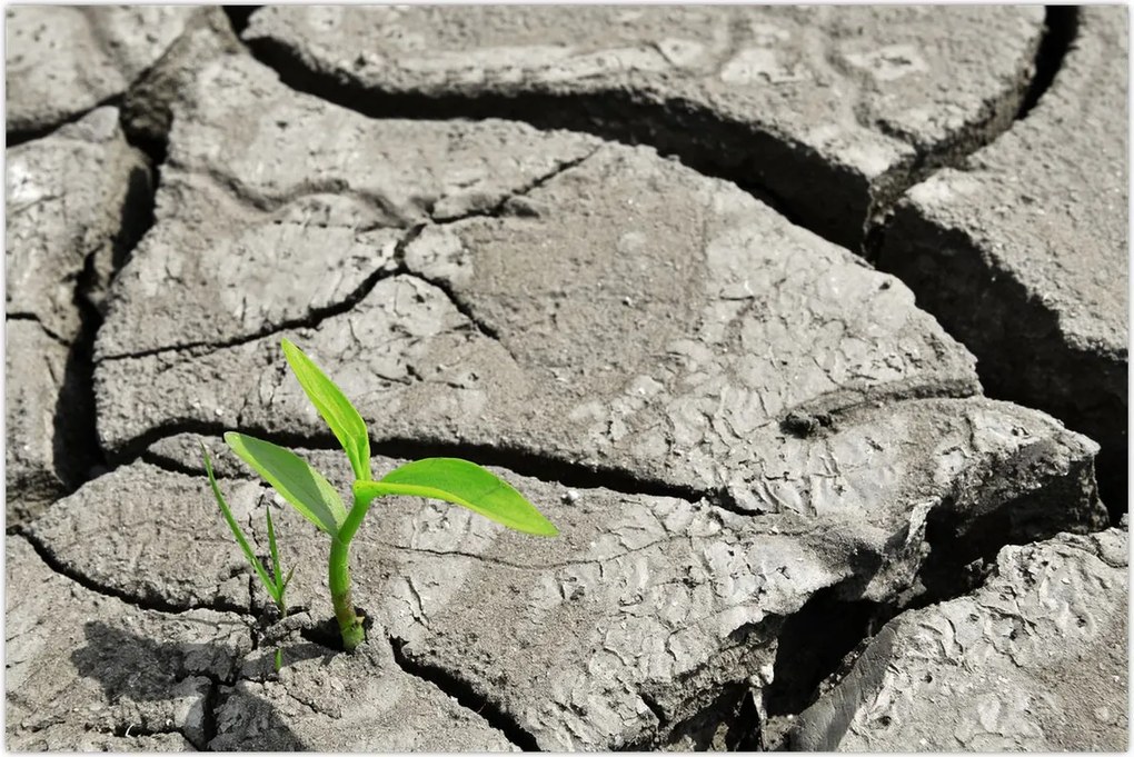 Tablou - Fisuri (90x60 cm)