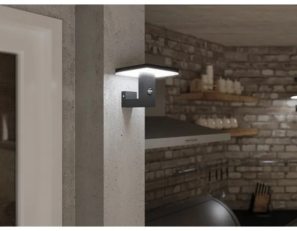 Aplică LED de exterior cu senzor BARI LED/10W/230V 4000K IP54 antracit