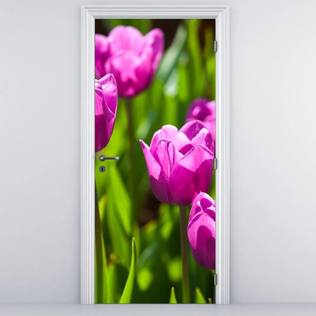 Fototapet pentru ușă - Lalele în câmp (95x205cm)