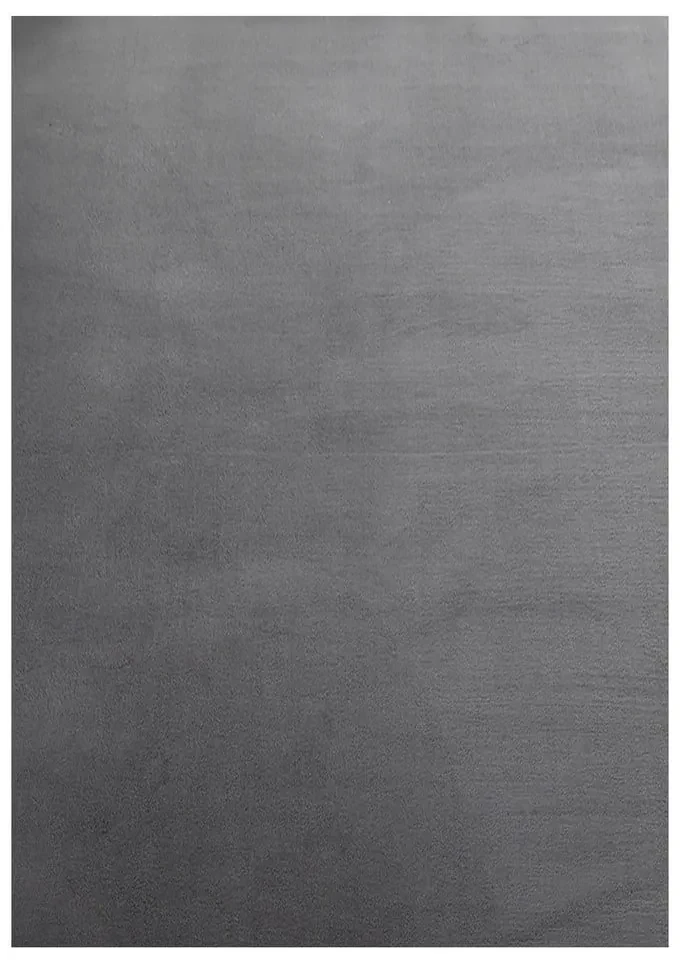 Covor gri lavabil 80x150 cm Sky – Ayyildiz Carpets
