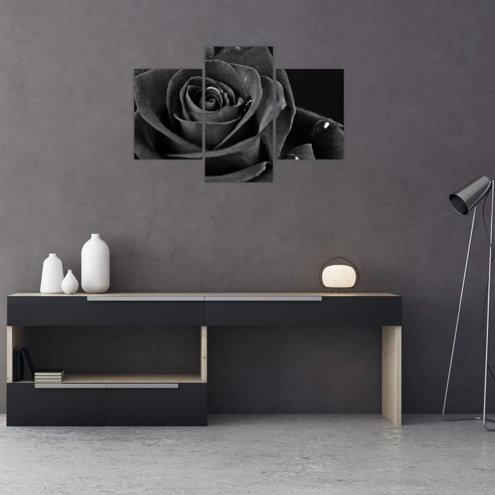 Tablou - Trandafir roșu aprins (90x60 cm)