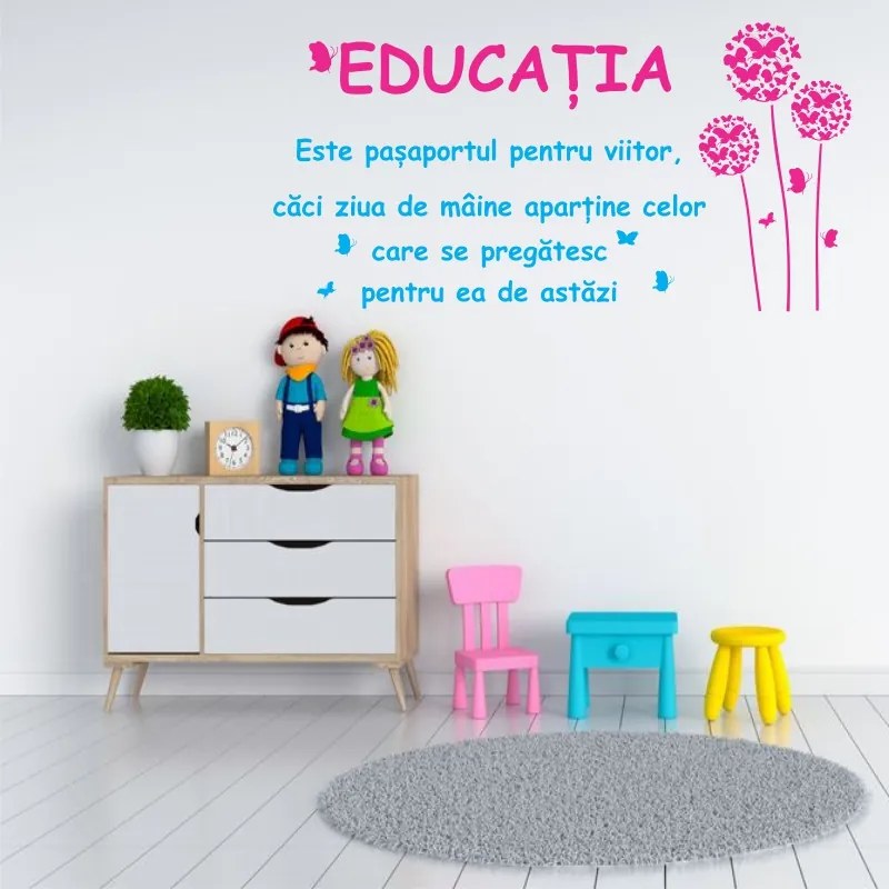 Sticker perete Educatia - Pasaport pentru viitor