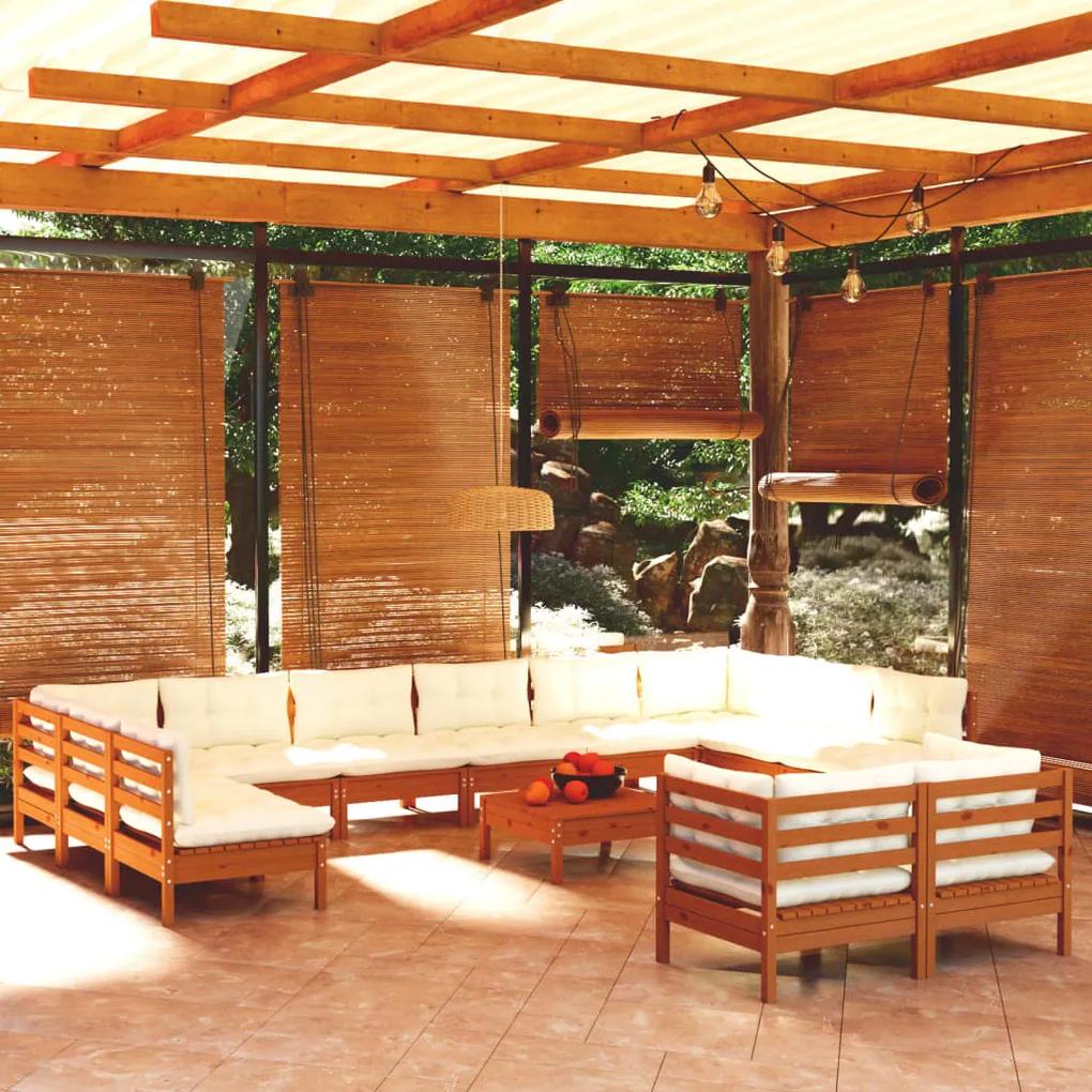 3097280 vidaXL Set mobilier de grădină cu perne 13 piese maro miere lemn pin