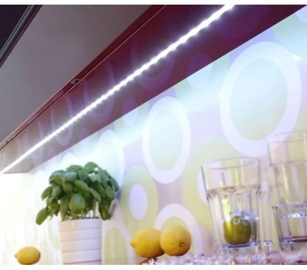 Bandă LED RGB dimabilă TEANIA 10m LED/30W/12/230V Paul Neuhaus 1205-70 + telecomandă