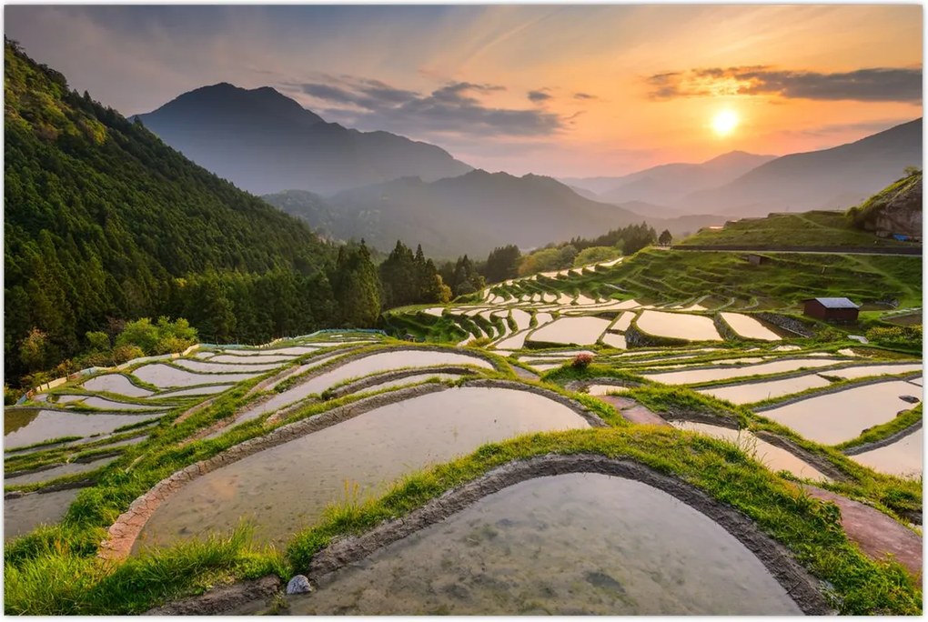 Tablou - Terase de orez (90x60 cm)