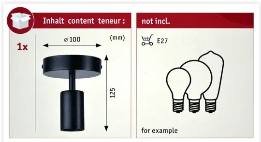 Paulmann 79760 - Plafonieră HALDOR 1xE27/20W/230V