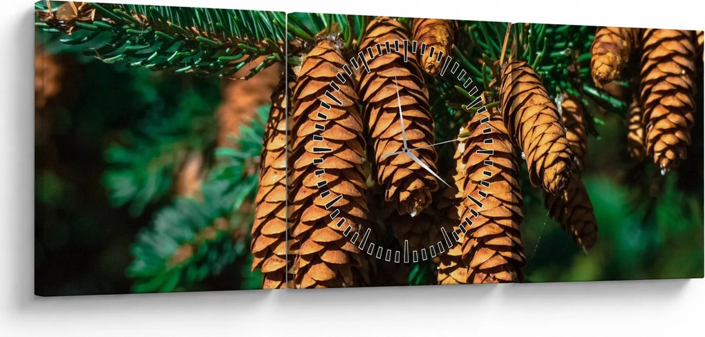 Tablou cu con de brad (cu ceas) (90x30 cm)