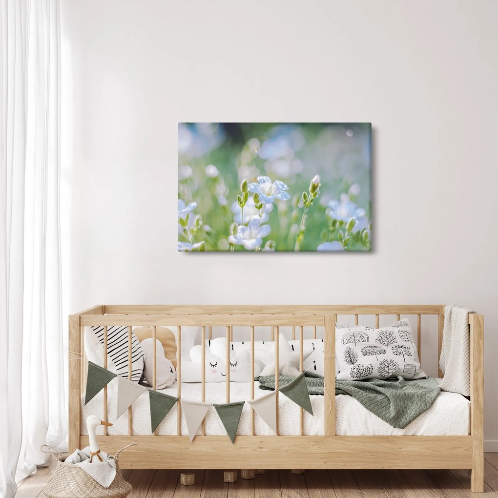 Tablou - Flori delicate (90x60 cm)