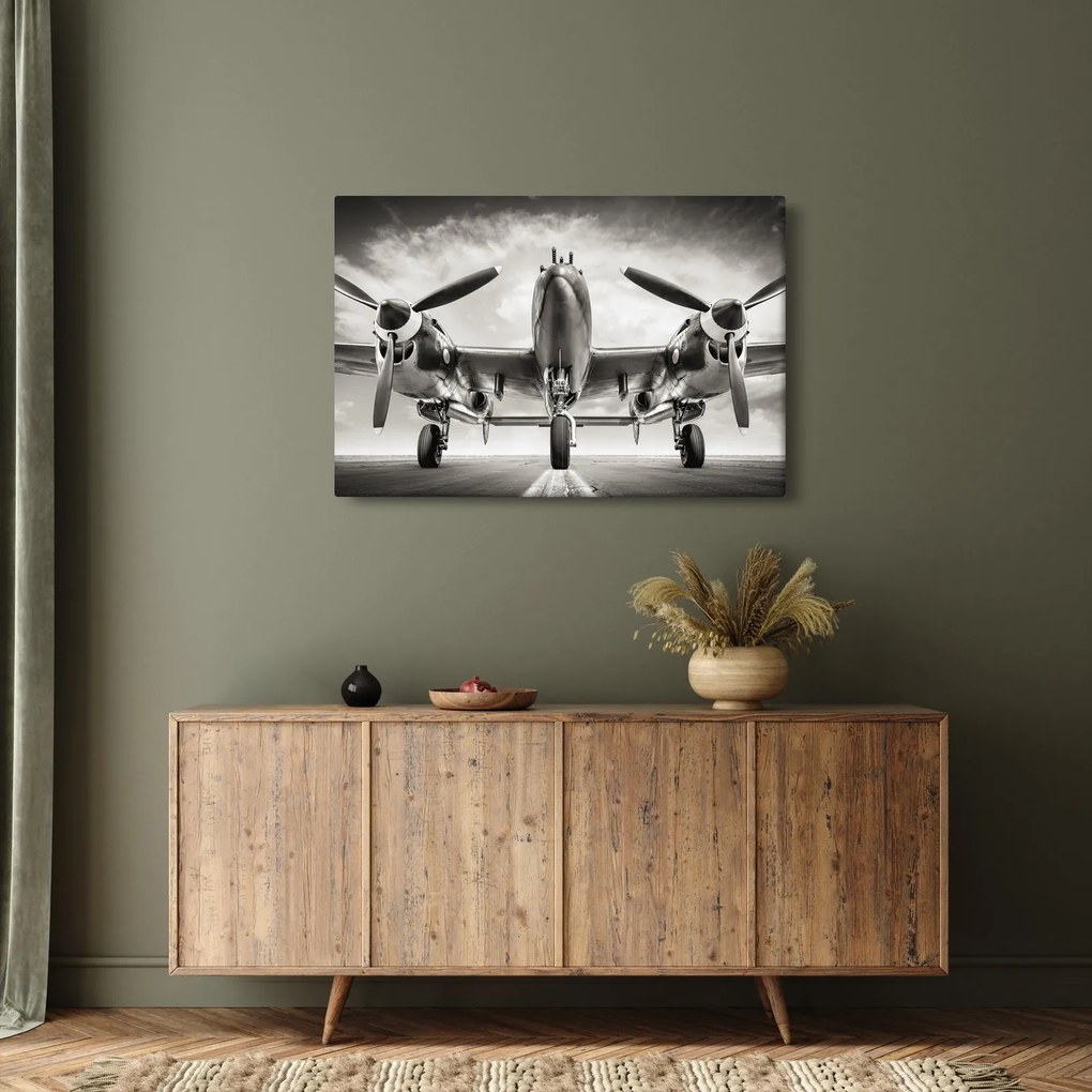 Tablou - Warbird (90x60 cm)