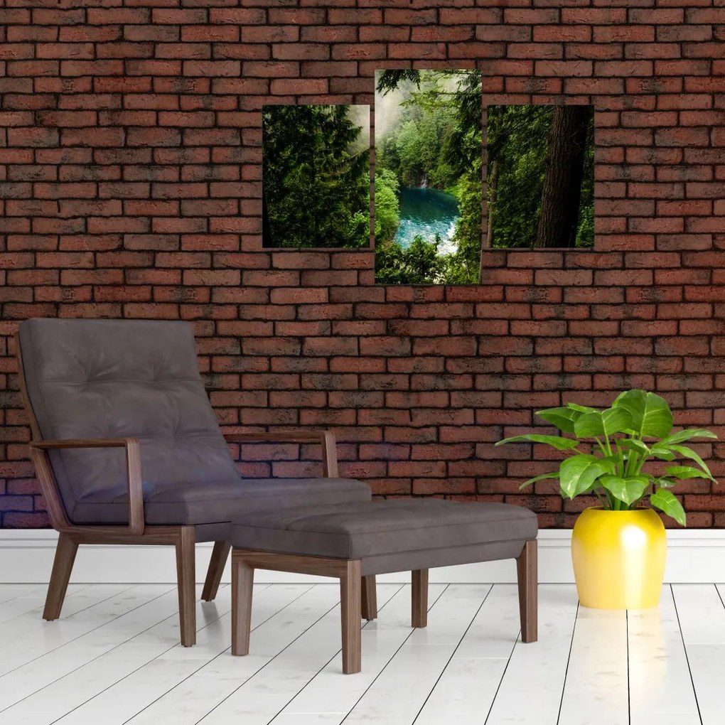 Tablou - Fereastra între copaci (90x60 cm)