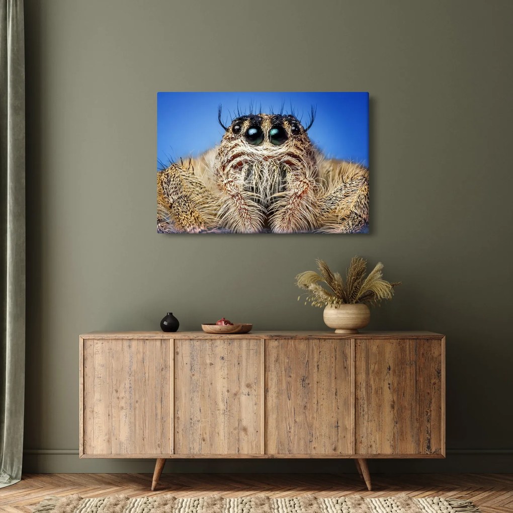 Tablou cu detalii a unui pâianjen (90x60 cm)